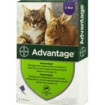 Адвантейдж краплі від бліх для котів понад 4 кг купить Івано-Франківськ 0