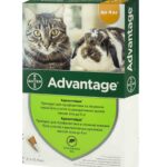 Адвантейдж краплі від бліх для котів до 4 кг купить Івано-Франківськ 0