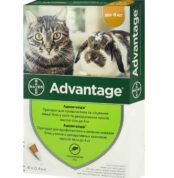Адвантейдж краплі від бліх для котів до 4 кг купить Івано-Франківськ 0