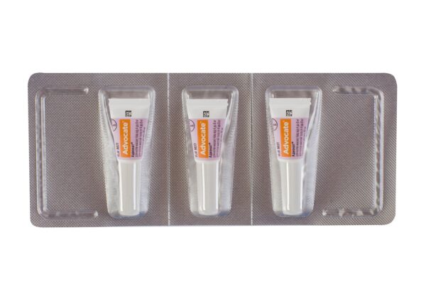 від бліх і кліщів