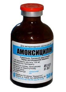 Амоксицилін суспензія для ін'єкцій купить Івано-Франківськ 50 мл