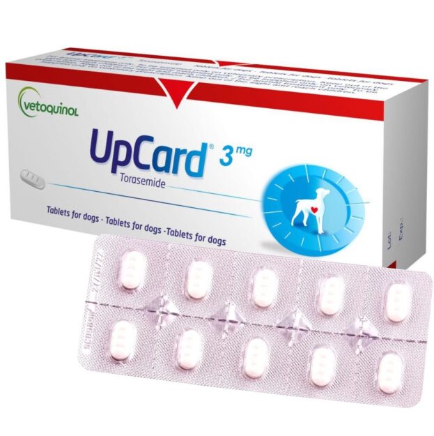 АпКард 3 мг купить Івано-Франківськ 10 таб