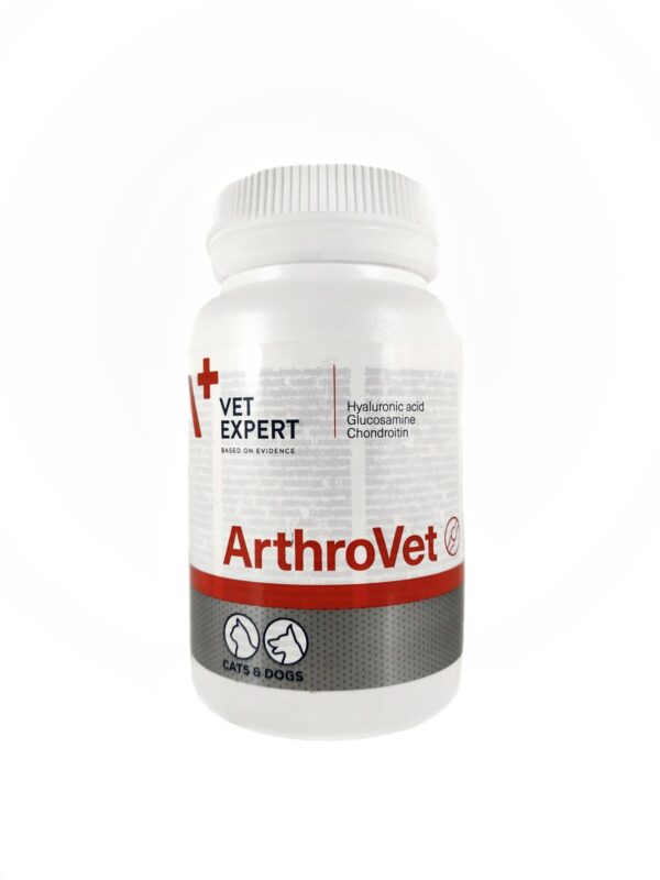 АртроВет (ArtroVet) ГК для собак АртроВет (ArtroVet) ГК для собак купить Івано-Франківськ 60 таб