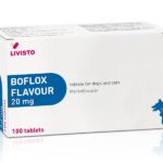 Бофлокс (Boflox) 20 мг купить Івано-Франківськ 10 таб