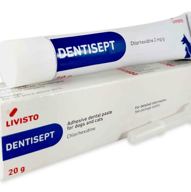 Дентисепт купить Івано-Франківськ 20 г