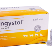 Енгістол амп. 5 мл