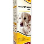 Гепатофарм-гель купить Івано-Франківськ 100 мл