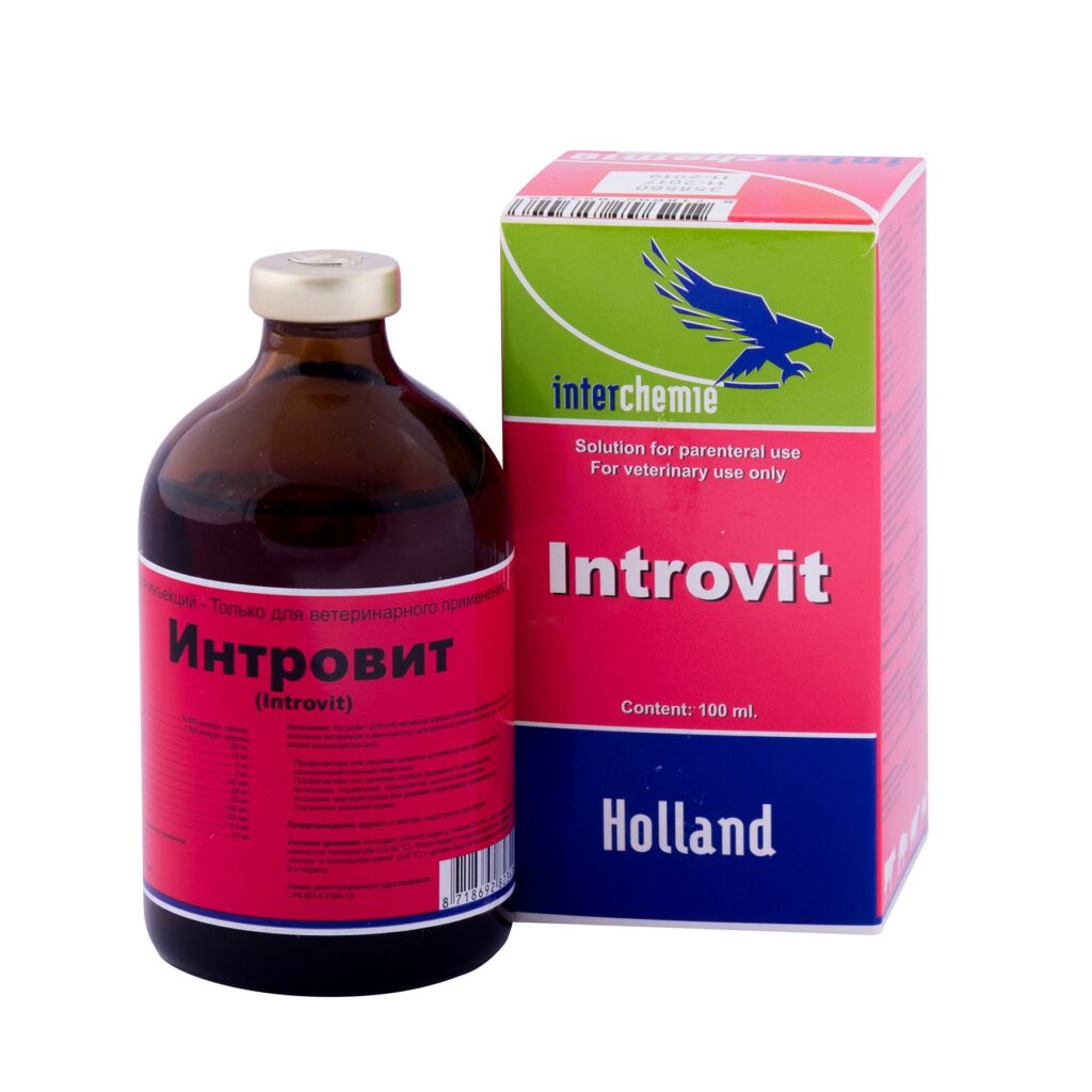 Інтровіт (Introvit), 100 мл - Loopyvet