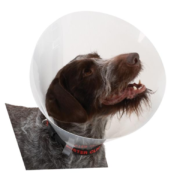 Комір захисний Quick  швидка система купить Івано-Франківськ 12