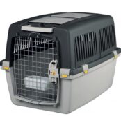 Перенесення Gulliver 4 IATA купить Івано-Франківськ 71х51х50 см