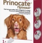 Прінокат краплі спот-он для собак 10 - 25 кг купить Івано-Франківськ 250/62
