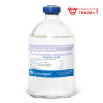 Розчин кальцію глюконату 20% купить Івано-Франківськ 100 мл флакон