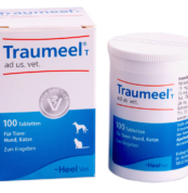 Траумель купить Івано-Франківськ 100 таб