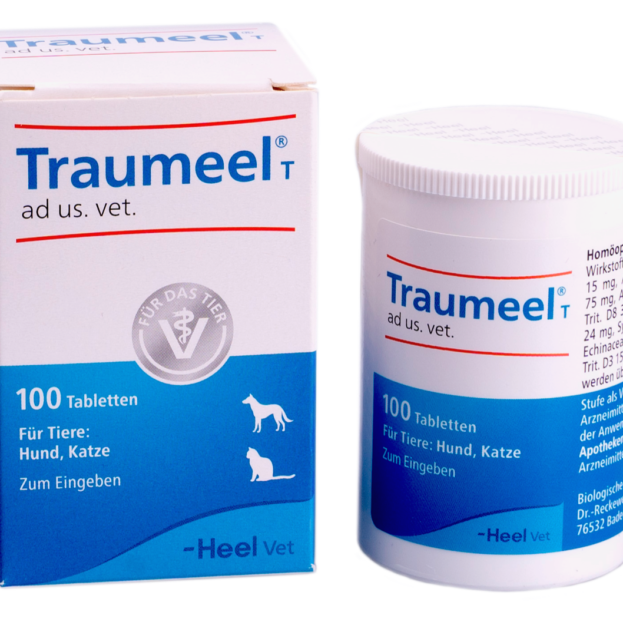 Траумель купить Івано-Франківськ 100 таб