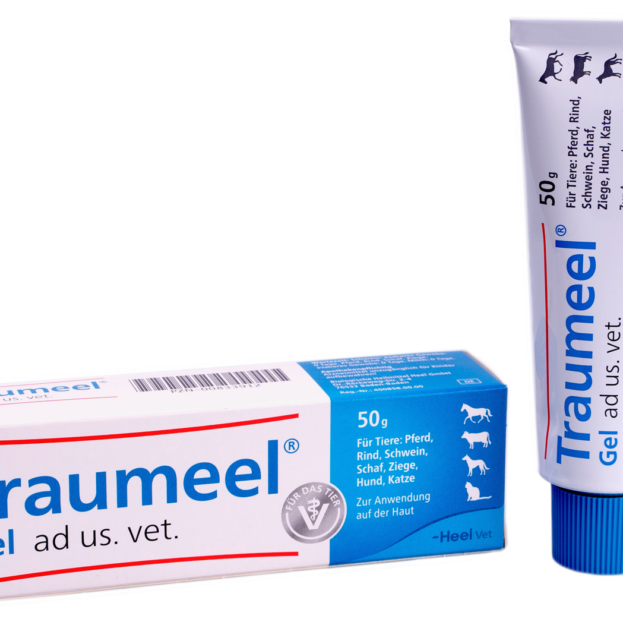 Траумель гель купить Івано-Франківськ 50 г