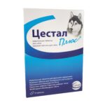 Цестал плюс Cestal plus купить Івано-Франківськ 8 таблеток