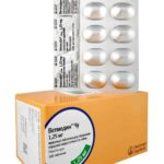 Ветмедін Чу (Vetmedin Chew) 1