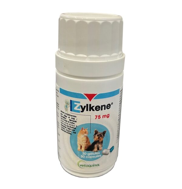 Зілкене 75 мг Зілкене 75 мг купить Івано-Франківськ 30 капсул